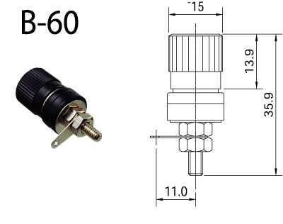 B60